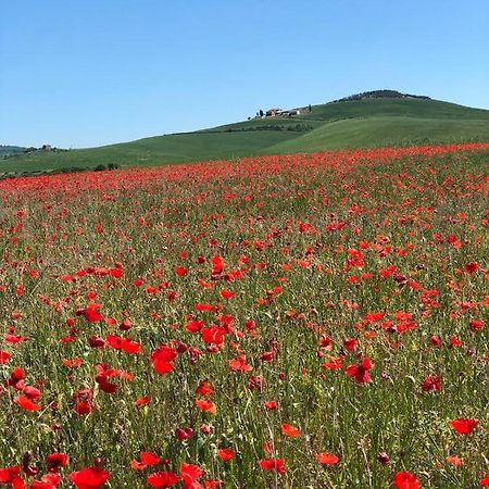 Agriturismo Poggio Tobruk Pienza Eksteriør bilde