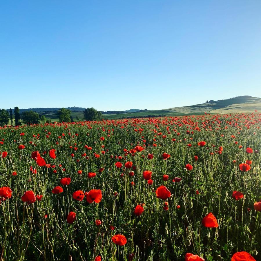 Agriturismo Poggio Tobruk Pienza Eksteriør bilde