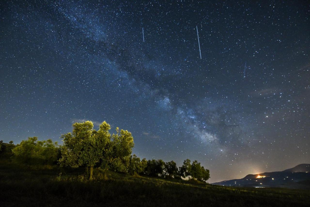 Agriturismo Poggio Tobruk Pienza Eksteriør bilde