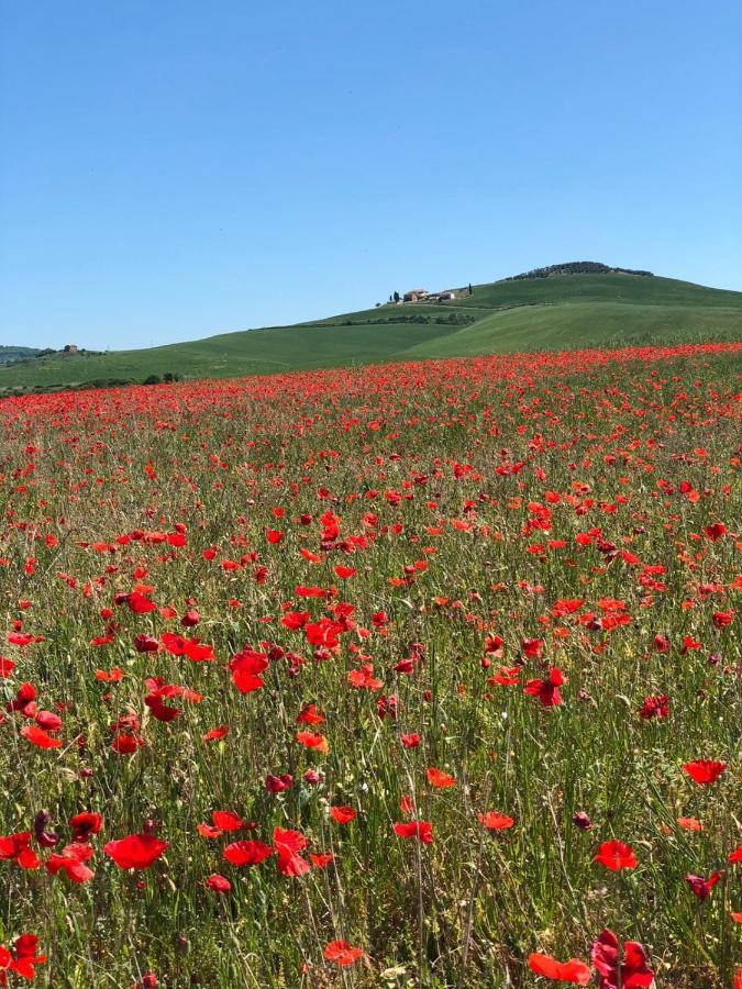 Agriturismo Poggio Tobruk Pienza Eksteriør bilde