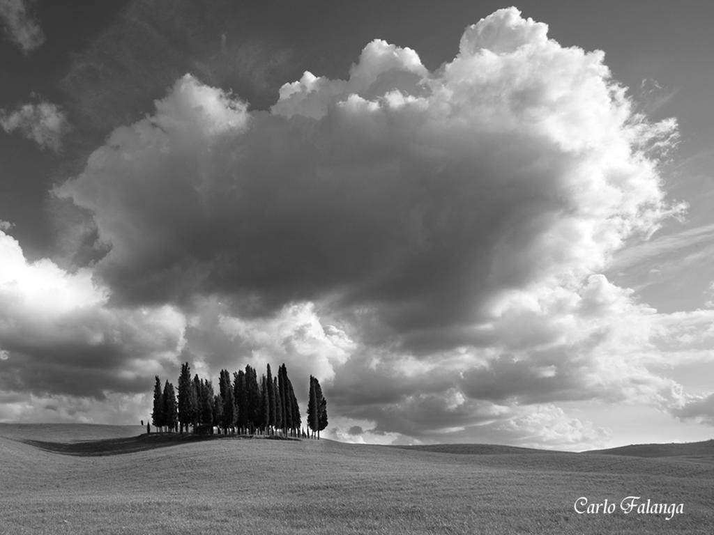 Agriturismo Poggio Tobruk Pienza Eksteriør bilde