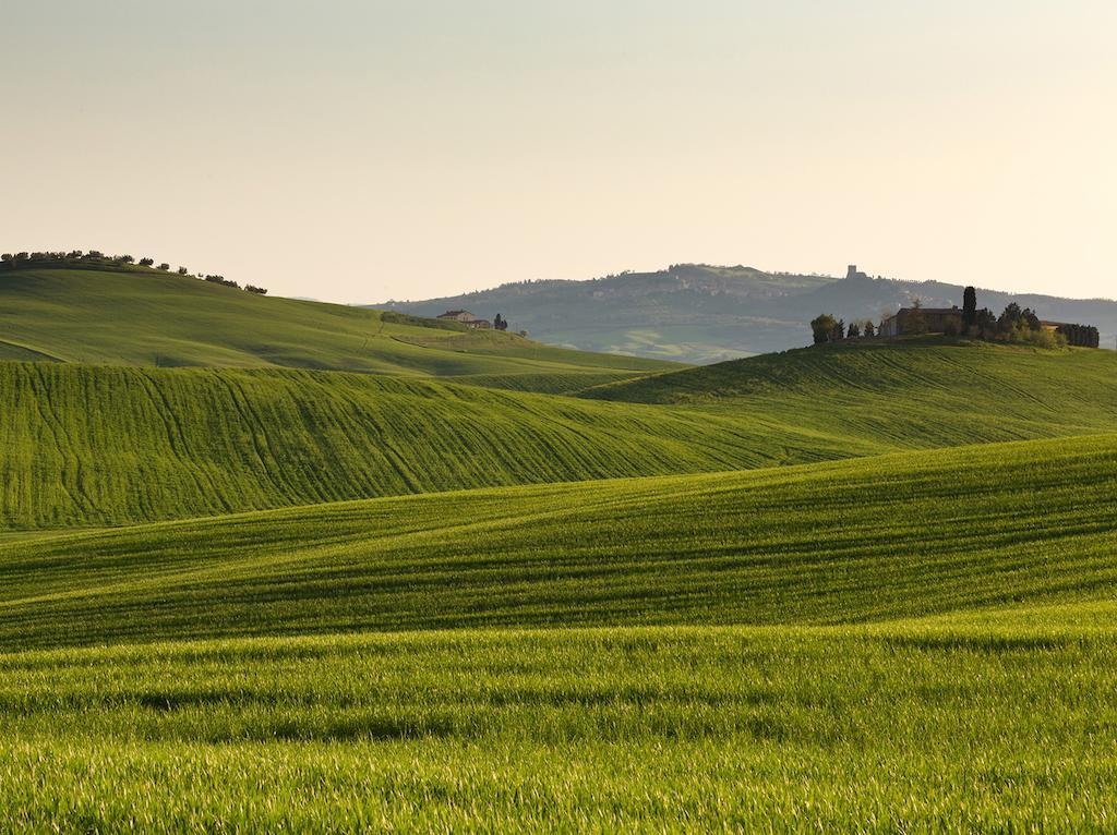 Agriturismo Poggio Tobruk Pienza Eksteriør bilde