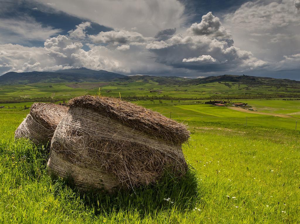 Agriturismo Poggio Tobruk Pienza Eksteriør bilde